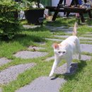 반려식물 원예화분 공예 이미지