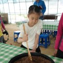 별내체험마을 이미지