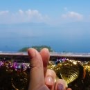 온누리네횟집