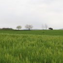 가곡농장 이미지