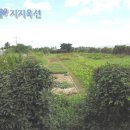 제주시 도두동 오일장 인근 토지 - 제주도부동산 제주부동산 경매 이미지