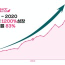펫프렌즈동물병원 티스토리