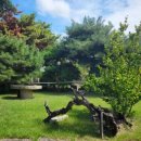 바람에정원 민박 이미지