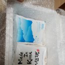 컴페니언 펫 이미지