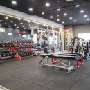 탐스 짐 이미지