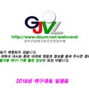 2018 생활체육 배구대회 일정표(4월 14일 현재) 이미지