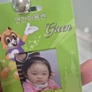 롯데월드 어드벤처 연간회원권 후기