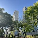 중흥공원 | 부천 신중동 디저트 선물세트 위시위시 구움과자 후기