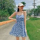 팜 비치 이미지