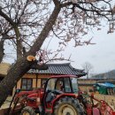 혼례정 | 당일치기여행, 꽃을 찾아 떠났던 안동 여행일기(꿀팁추가)