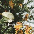 버드모아 이미지