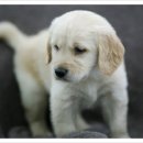 인덕원역 7번출구 인덕원성당옆 이미지