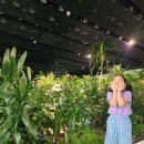 보고또보고비디오 | 초등 아이도 즐기는 주말 전시관람 후기 @백남준아트센터 /경기 용인 무료전시