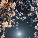 리타헤어 - 서대문구 | 리타헤어