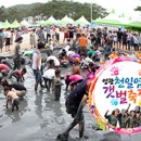 빛과갯벌-1 이미지