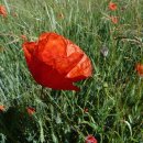 세보한의원 이미지