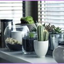 고려종합비료 이미지