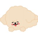 봉곡동407 이미지