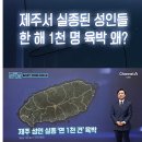 제주도에서만 한 해 1천명 성인 실종 보도 이미지