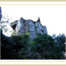 여수봉황산자연휴양림 이미지