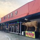 캡틴축산 이미지