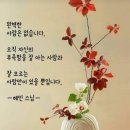 당신도 울고 있네요 ~ 김종찬 이미지