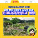 본의1리 마을회관 | 청양 본의 1리 말봉 참살이 마을 원예치유정원에서 힐링하고 가세요