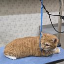 SKY동물병원 이미지