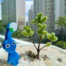 동글댕글 이미지