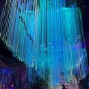 아쿠아라이프 | 여수 아쿠아플라넷 실제후기｜주차 할인 짐보관 아쿠아리움 인어쇼 벨루가