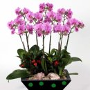 새통영병원장례식장 이미지