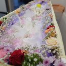 뉴대성병원 이미지