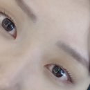 브로우코드 속눈썹&눈썹 네이버블로그