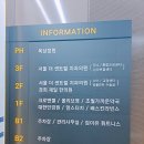 사랑니 발치 후기 초월역 근처[서울더센트럴치과]