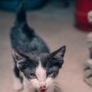 (김제) 미지노씨네 트리하우스 후기 이미지