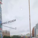 할리스 부산경성대2호점 이미지