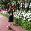 라미카페 이미지
