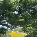 빵빵카센타 이미지