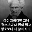 더자라 이미지