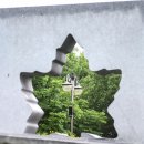 국도23호선가로수 이미지