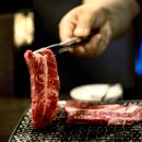 라오니아 이미지