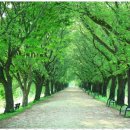 연세재가복지센터 이미지