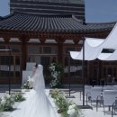바이블로썸 | 경원재 바이 워커힐 / 메리블로썸 아이폰스냅 후기
