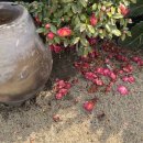 빈 하루 이미지