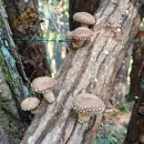 상노농장 이미지