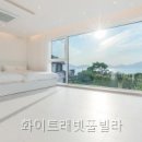 브람스팬션 | 화이트래빗풀빌라 독채풀빌라 선택 전 볼 핵심 정보