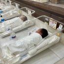 성동구 이든포레 산후조리원 (레피리움 행당성수) 후기