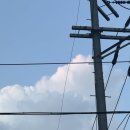 (주)허니비즈 | 오늘따라 온종일 Up &amp; Down이 심했구나 내가 풀어줄 기회잖아 | 역시 감다살! 넌 나의 허니로그