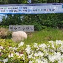 원곡고교길 이미지