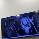 은승표코리아정형외과의원 이미지